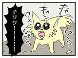 「【漫画】猫に加えてチワワにトリミングされていないプードルも！【恐怖の義実家1泊2日 Vol.5】」の画像1