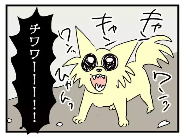 「【漫画】猫に加えてチワワにトリミングされていないプードルも！【恐怖の義実家1泊2日 Vol.5】」の画像