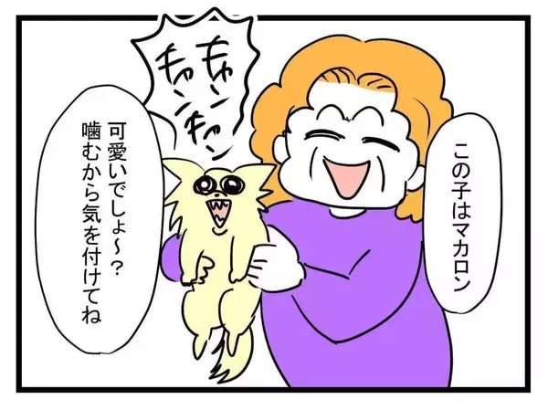 「【漫画】猫に加えてチワワにトリミングされていないプードルも！【恐怖の義実家1泊2日 Vol.5】」の画像