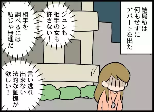 「「これやってるわ」さらなる確たる証拠をつかむため、プロに調査を依頼」の画像