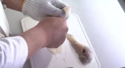 動画レシピ 剣先イカのさばき方 イカを捌いて イカ刺し を作る エキサイトニュース
