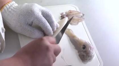 動画レシピ 剣先イカのさばき方 イカを捌いて イカ刺し を作る エキサイトニュース