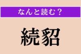 【難読漢字】「続貂」正しい読み方は？ 前のものと比べて、質が下がることを表します