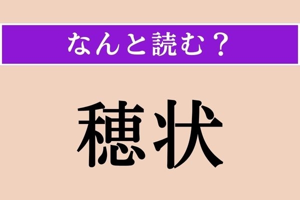 【難読漢字】「穂状」正しい読み方は？ 穂のような形のことです
