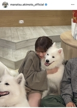 秋元真夏、サモエドカフェで癒しのひととき！オフショット公開