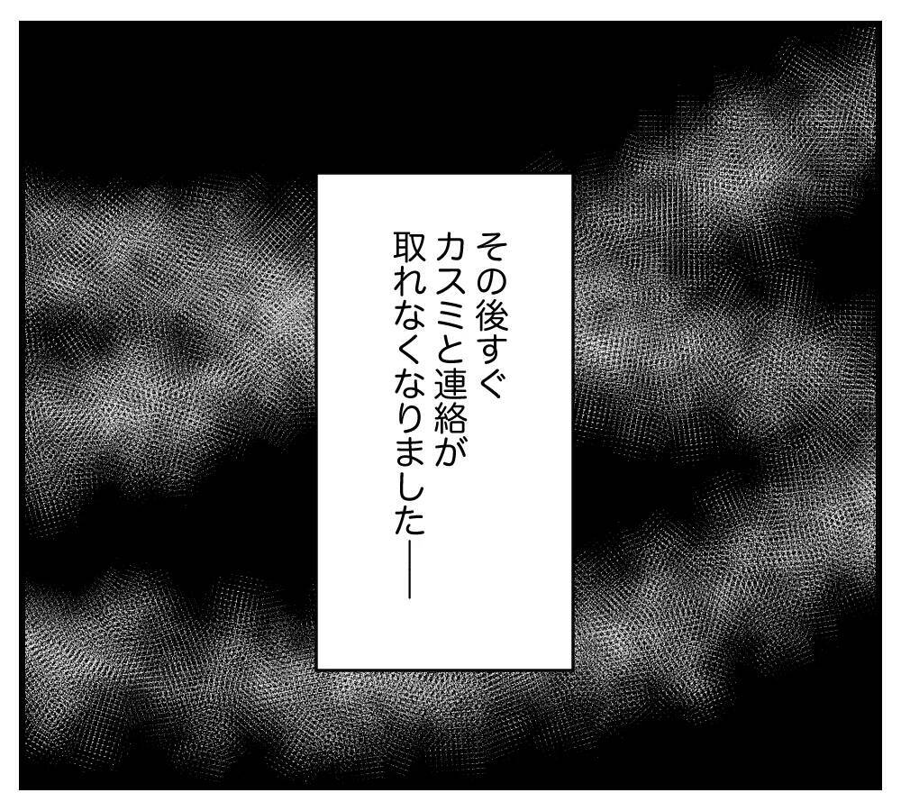 【漫画】結婚を祝おうと考えていたのに…カスミがいなくなった【夫と義家族に無視される私 Vol.78】