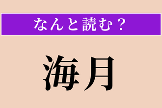 【難読漢字】「海月」正しい読み方は？ 癒されます