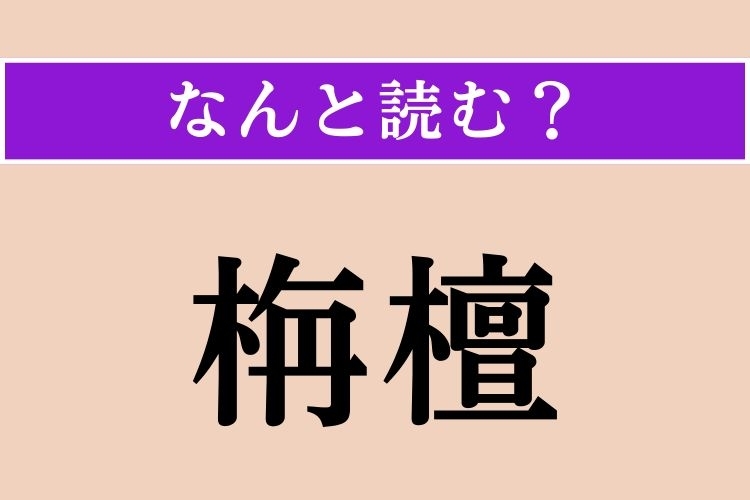 【難読漢字】「栴檀」正しい読み方は？ 落葉高木で、「白檀（びゃくだん）」の別名です