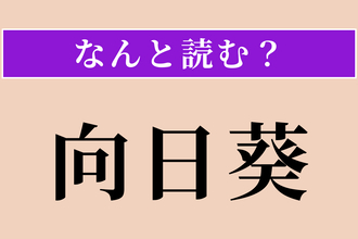 【難読漢字】「向日葵」正しい読み方は？ サービス問題！