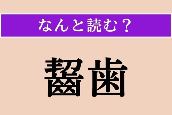 【難読漢字】「齧歯」正しい読み方は？ 鋭く尖った前歯のことです