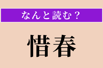 【難読漢字】「惜春」正しい読み方は？ サービス問題!? 春の去るのを惜しむことです