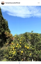 鈴木保奈美、徳島の山あいでゆず収穫「11月が最高の季節」