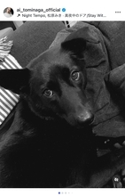 冨永愛が愛犬ベルの旅立ちを報告「最後の時間を一緒に過ごせて良かった」