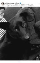 冨永愛が愛犬ベルの旅立ちを報告「最後の時間を一緒に過ごせて良かった」