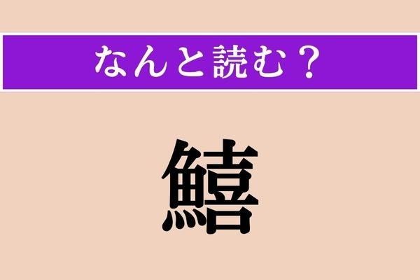 【難読漢字】「鱚」正しい読み方は？ どの魚だろう…