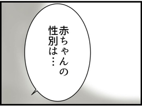 【漫画】意を決して赤ちゃんの性別を医師から教えてもらう【マウント義姉にやり返した話 Vol.18】