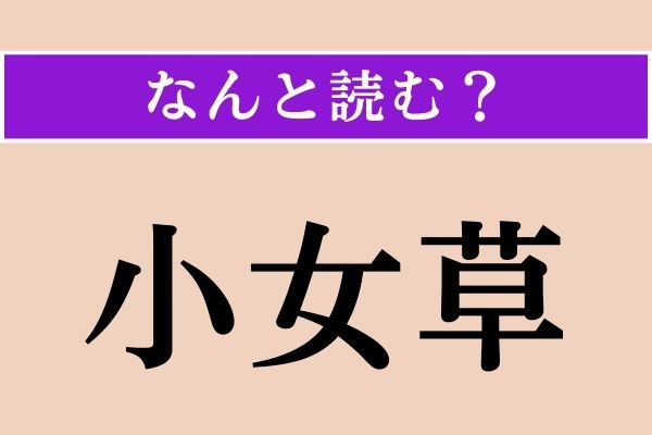 【難読漢字】「小女草」正しい読み方は？え、簡単じゃない!?