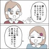 「家事力ゼロのダメ息子に任せられない！ 祖母は孫たちを心配するが…」の画像3