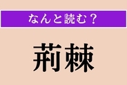 【難読漢字】「荊棘」正しい読み方は？「茨（いばら）」のことです