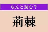 【難読漢字】「荊棘」正しい読み方は？「茨（いばら）」のことです