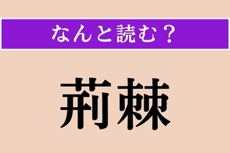 【難読漢字】「荊棘」正しい読み方は？「茨（いばら）」のことです