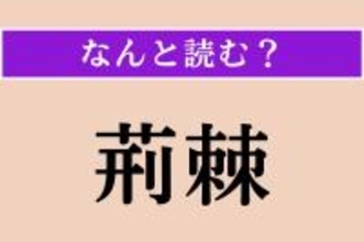 【難読漢字】「荊棘」正しい読み方は？「茨（いばら）」のことです