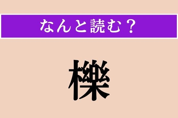 【難読漢字】「櫟」正しい読み方は？「橡」「椚」「櫪」とも書かれる植物です