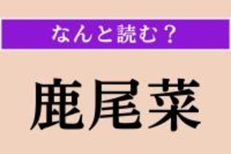 【難読漢字】「鹿尾菜」正しい読み方は？ 長寿食であり、「羊栖菜」とも書きます