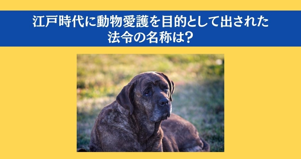 大人ならわかる？ 小学校の「社会」問題＜Vol.98＞