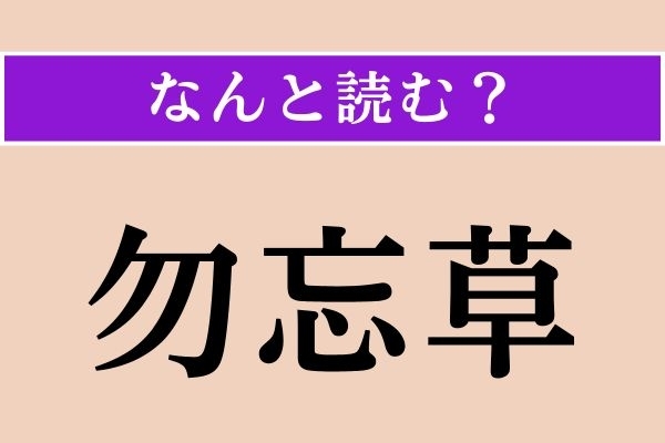 【難読漢字】「勿忘草」正しい読み方は？ 植物です