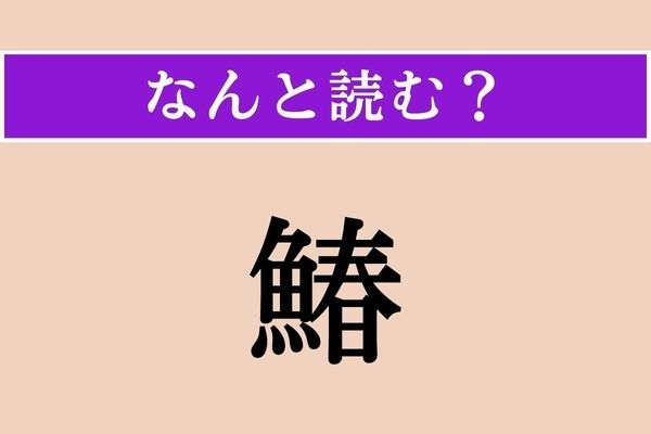 【難読漢字】「鰆」正しい読み方は？ 文字通り、春に旬を迎える魚です