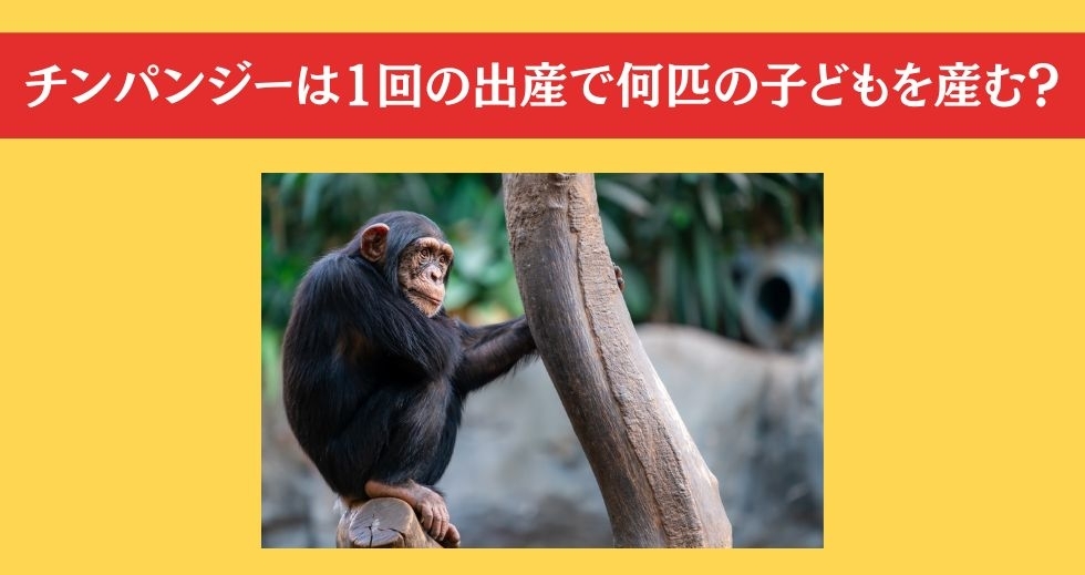大人ならわかる？ 小学校の「理科」問題＜Vol.49＞