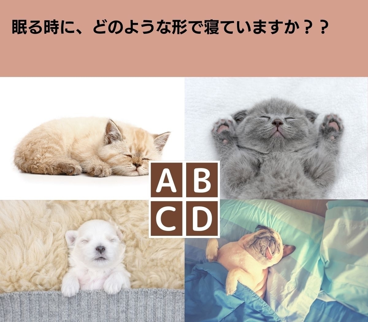 【心理テスト】あなたのストレスの原因は何？ 眠る時の姿勢から診断します