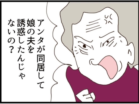 【漫画】義母の母に「あんたのせいで娘が離婚」と責められ【マジメだと思ってた義父は… Vol.315】の画像
