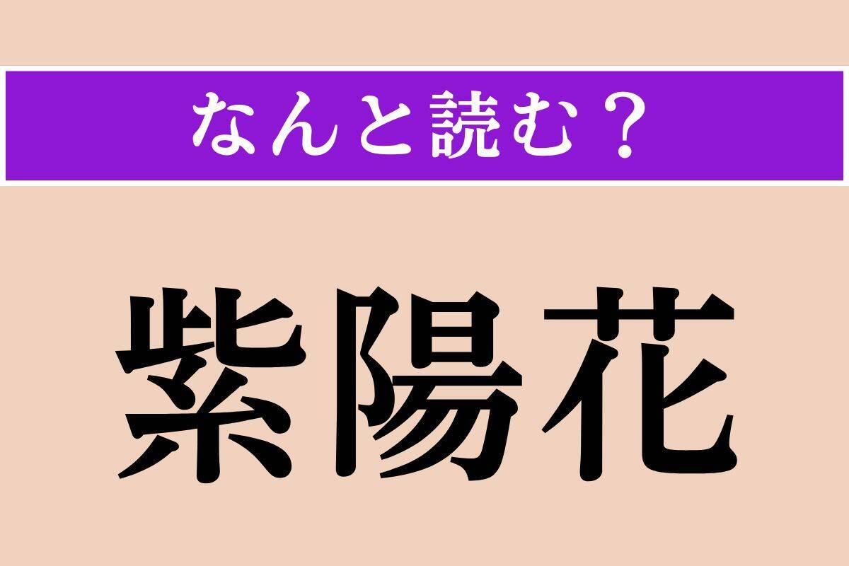 【難読漢字】「紫陽花」正しい読み方は？ 梅雨の時期に花を咲かせます