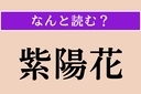 【難読漢字】「紫陽花」正しい読み方は？ 梅雨の時期に花を咲かせますの画像