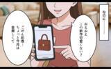 「「奪い取ってやる！」奪略した夫は慰謝料の支払いで金欠!?」の画像8