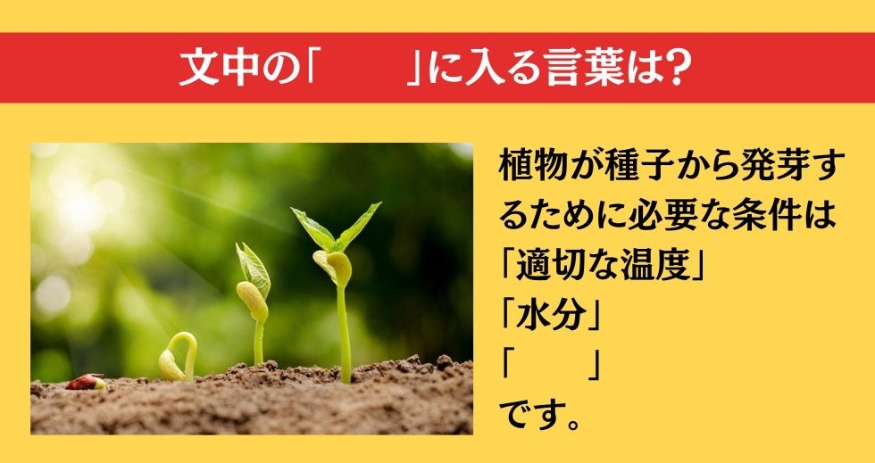大人ならわかる？ 小学校の「理科」問題＜Vol.73＞