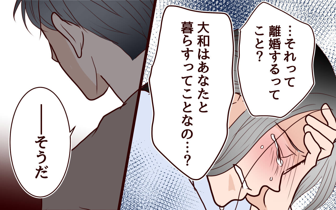 「そこまで悪いことした？」母親なのに息子にもう会えないなんて…