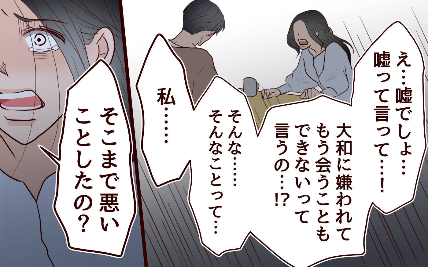「そこまで悪いことした？」母親なのに息子にもう会えないなんて…