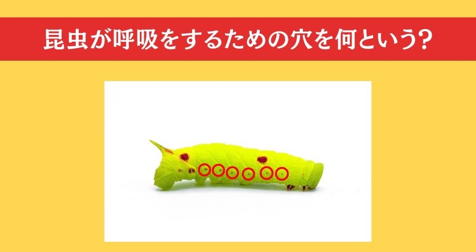 大人ならわかる？ 小学校の「理科」問題＜Vol.28＞