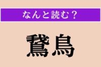 【難読漢字】「鵞鳥」正しい読み方は？ どの鳥だろう…