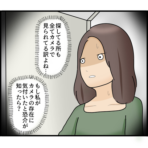 【漫画】カメラの存在を知らないフリに徹しなくては！【ストーカーと結婚してました Vol.20】の画像