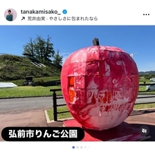 田中美佐子、『こころ旅』青森編で親子の絆に感動「観音様が声をかけてくれたのかも」