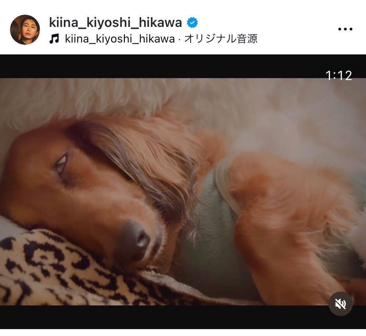 氷川きよし、毎晩添い寝する存在を明かす「この人に枕はいつも占領されます」