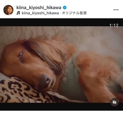 氷川きよし、毎晩添い寝する存在を明かす「この人に枕はいつも占領されます」