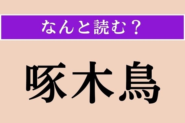 【難読漢字】「啄木鳥」正しい読み方は？ 目にもとまらぬ速さで頭を動かす鳥類です