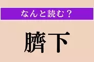 【難読漢字】「臍下」正しい読み方は？ おへその下のことです