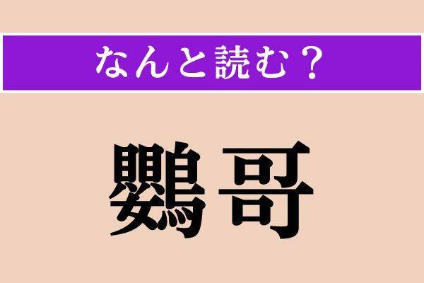【難読漢字】「濃やか」「額突く」「鸚哥」読める？