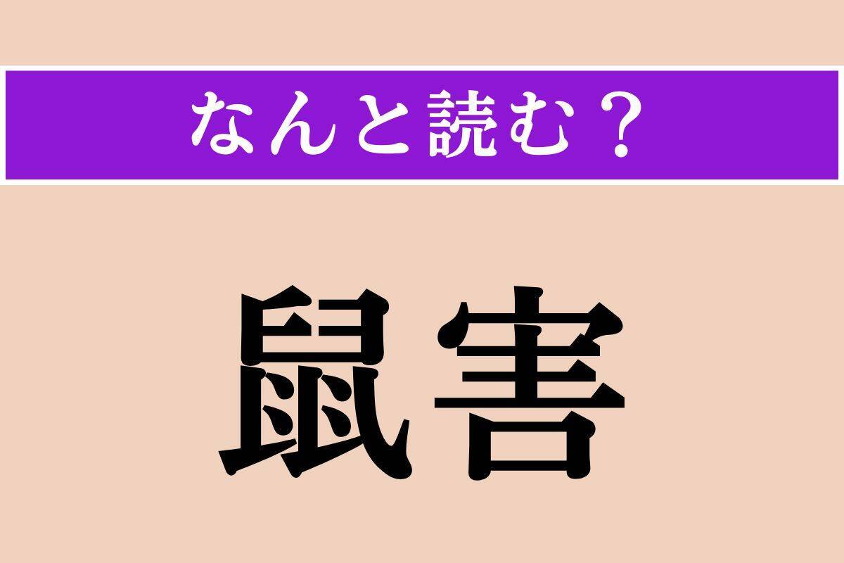 【難読漢字】「鼠害」正しい読み方は？ 文字通り、ネズミによる被害のことです